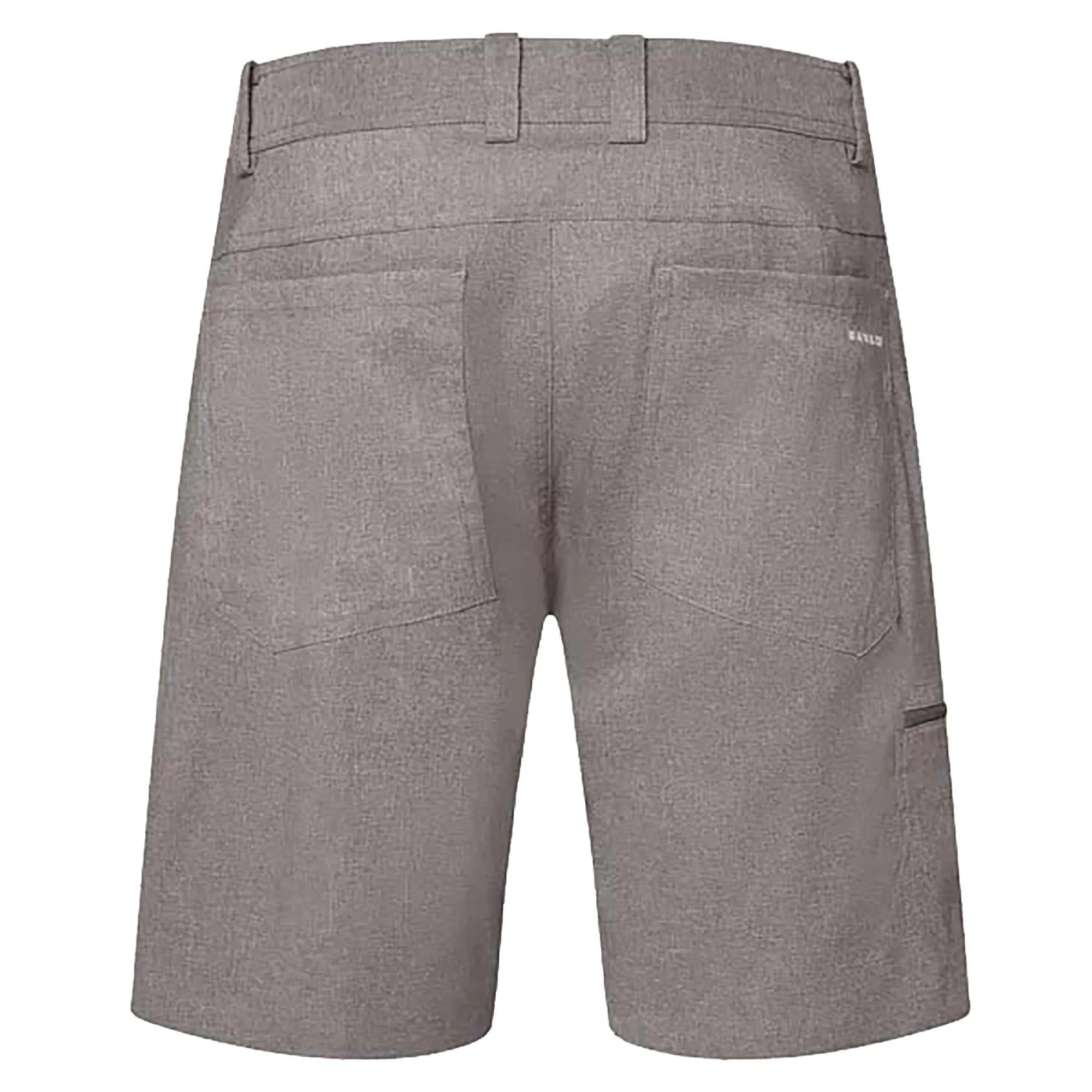 Herren Golf Hybrid Shorts
